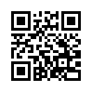 QR CODE 528