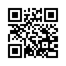 QR CODE 529