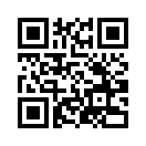 QR CODE 53