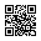 QR CODE 110