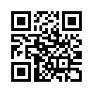 QR CODE 316