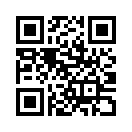 QR CODE 317