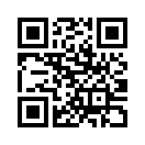 QR CODE 322