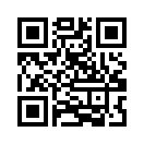 QR CODE 216