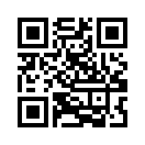 QR CODE 316