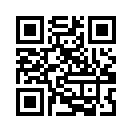 QR CODE 317