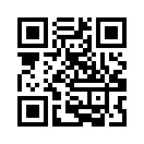 QR CODE 336