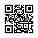 QR CODE 344