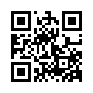 QR CODE 394