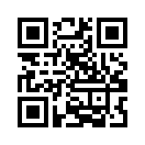 QR CODE 482