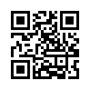 QR CODE 494