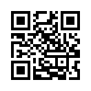 QR CODE 501