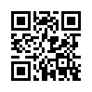 QR CODE 519