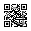 QR CODE 529