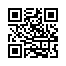 QR CODE 734