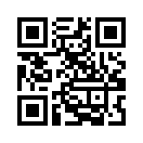 QR CODE 737