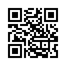 QR CODE 791