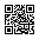QR CODE 868