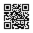 QR CODE 913