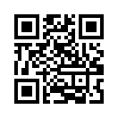 QR CODE 950