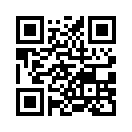 QR CODE 31