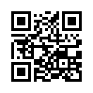 QR CODE 53