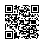 QR CODE 110
