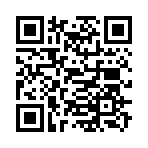 QR CODE 133