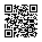 QR CODE 228