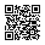 QR CODE 253