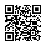 QR CODE 336