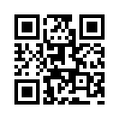 QR CODE 31