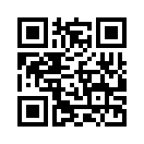 QR CODE 176