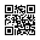 QR CODE 205