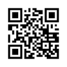 QR CODE 31