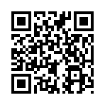 QR CODE 528