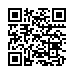 QR CODE 529