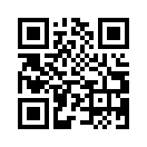 QR CODE 133