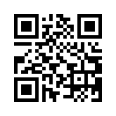 QR CODE 228