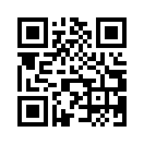 QR CODE 316