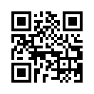 QR CODE 317