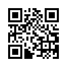 QR CODE 329