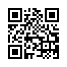 QR CODE 336