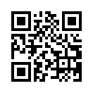 QR CODE 344