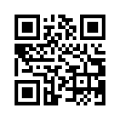 QR CODE 461