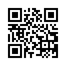 QR CODE 494