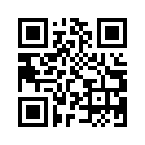QR CODE 538