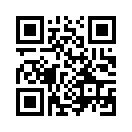 QR CODE 133