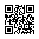 QR CODE 110
