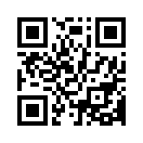 QR CODE 110